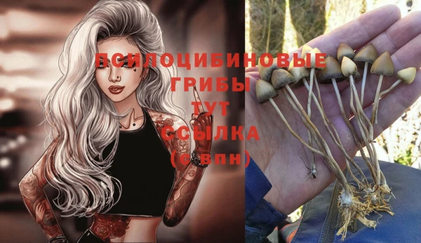 MDMA Кукмор