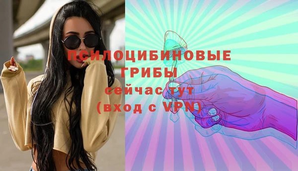 стафф Краснотурьинск